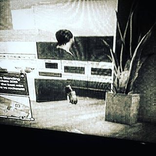 Profile Picture of Everett Edward Alexander Dingus (@bigalexander1996) on Facebook