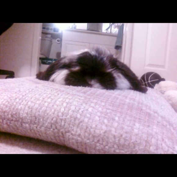 Profile Picture of Jennifer Alibin (@jenl808) on Poshmark