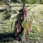 Profile Picture of Tiny Temple (@tiny.temple.423177) on Facebook