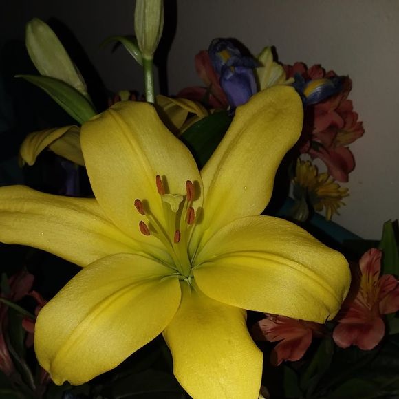 Profile Picture of Barb Sarbak (@bcljs) on Poshmark