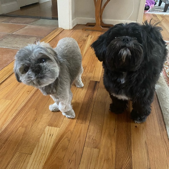 Profile Picture of Markian Dziuk (@mpoo) on Poshmark