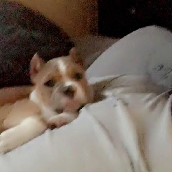 Profile Picture of Eli Rodriguez (@eli1999999) on Poshmark