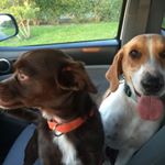 Profile Picture of Lyn Mudd (@lynmudd) on Instagram