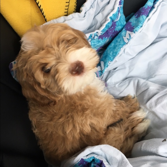 Profile Picture of Patty Keller (@pattykeller5710) on Poshmark