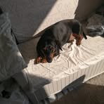 Profile Picture of Tomasz Lubiński (@Tomasz-Lubiński) on Facebook