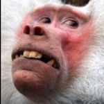 Profile Picture of Jack Barnes (@jack5728) on Instagram