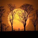 Raphael Smith - Instagram Profile Picture of Raphael Smith (@raphael.smith.66) on Instagram