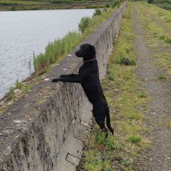 Profile Picture of Stephen Greene (@@stephengreene) on Tiktok