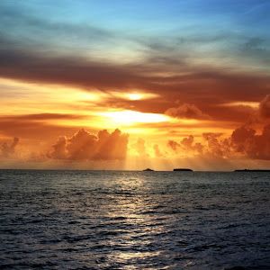 Profile Picture of Thomas Spitzer (@thomas.spitzer52) on Tiktok