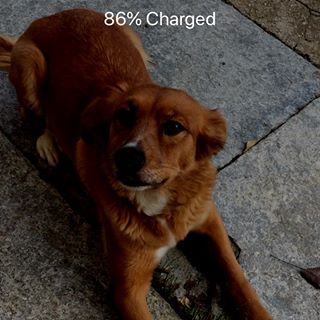 Profile Picture of James Pogliano (@James-Pogliano) on Facebook