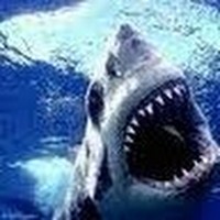 Profile Picture of Andrew Pierson (@andrew-pierson-10) on Quora