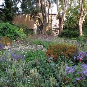 Profile Picture of Joanna Lambert (@joji1) on Pinterest