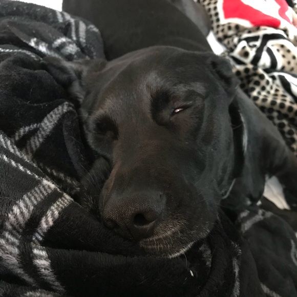 Profile Picture of Paula Prater (@paulaprater18) on Poshmark