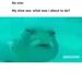 Profile Picture of John Tibbs (@jitibbs03) on Pinterest