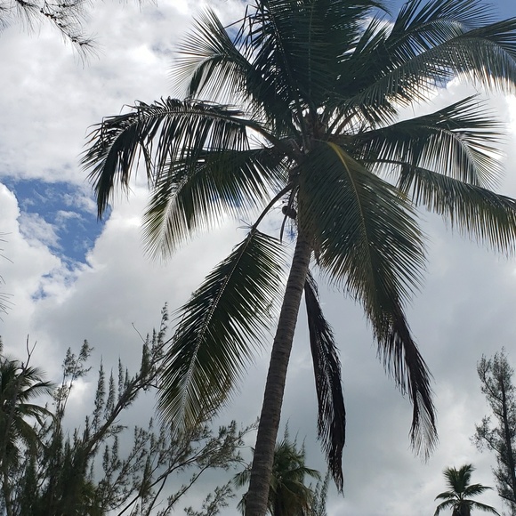 Lilia Canady - Poshmark Profile Picture of Lilia Canady (@liliac55) on Poshmark