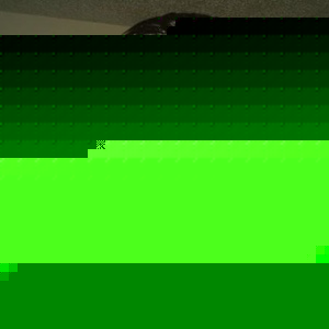 Raymond Aponte - Myspace Profile Picture of Raymond Aponte (@raymondaponte) on Myspace