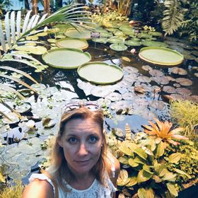 Profile Picture of Wende Pearson David (@wendep) on Pinterest