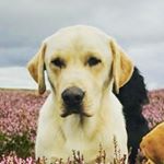 Profile Picture of Richard Naylor (@rehnaylor) on Instagram