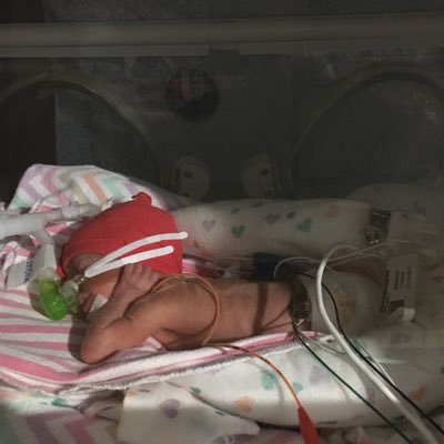 Profile Picture of Audrey Lloyd (@@ajay1086) on Twitter