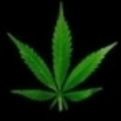 Profile Picture of Not-Chris Kenoyer (@PanamaNotChris) on Twitter