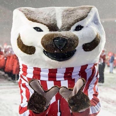 Profile Picture of Kaye Nelson (@BadgerKaye) on Twitter