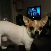 Profile Picture of Jonathan Burleson (@JonathanBurles2) on Twitter