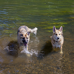 Profile Picture of Emma Spring (@icklebitchukuk) on Flickr