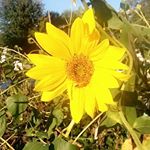 Profile Picture of weirdo101 (@krystal_creative_photography) on Instagram