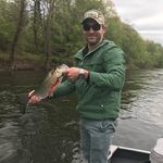 Profile Picture of Michael Pellegrino (@therealmikepellegrino) on Instagram