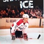 Profile Picture of Steven J Seftel (@steveseftel) on Instagram