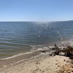 Profile Picture of Frank Forcino (@flforcino) on Instagram