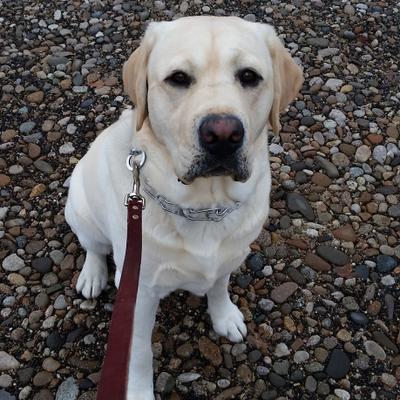 Profile Picture of FOSSCECO, KELLY (@FosscecoK) on Twitter