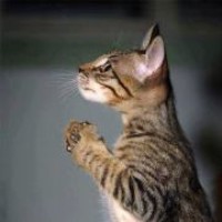 Profile Picture of Claudia Gale (@claudia-gale-1) on Quora