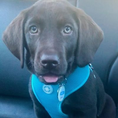 Profile Picture of Aytch Mark (@AytchM) on Twitter