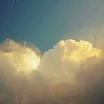 Profile Picture of Jill Goodacre (@jill.goodacre) on Instagram