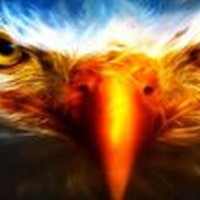 Profile Picture of Radish Radish (@radish-radish-1) on Quora