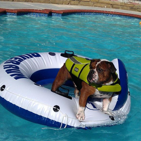 Profile Picture of Danny Tseng (@goferboi) on Poshmark