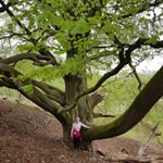 Profile Picture of Janet Barton (@janet.barton.3597) on Instagram