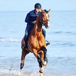 Profile Picture of David Codina (@davidcodinaleria) on Instagram