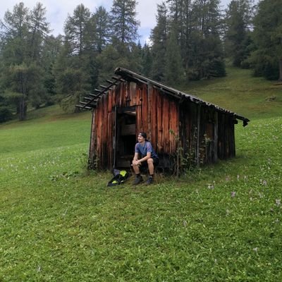 Profile Picture of Knollsen (@RobinKnoll) on Twitter