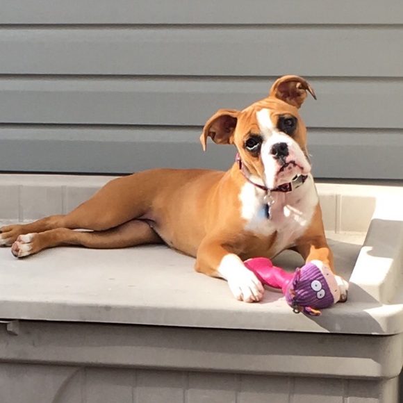 Profile Picture of Kristen Feigenbaum (@misskriss1106) on Poshmark