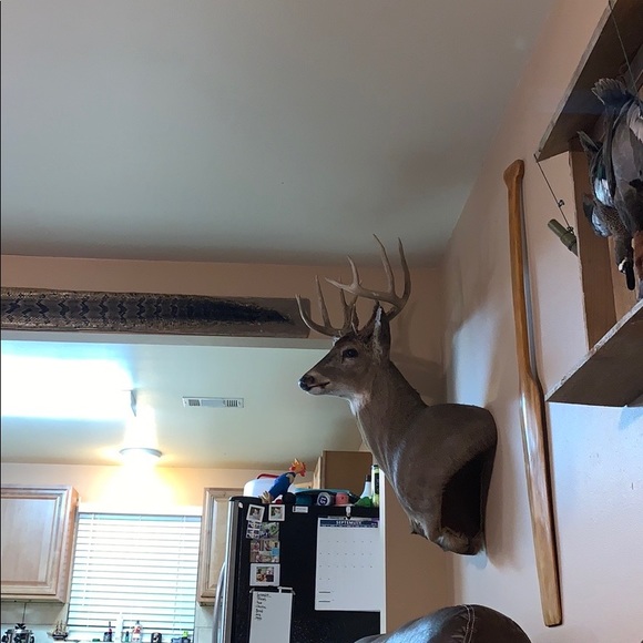 Profile Picture of Christopher Guidroz (@chrisguidroz) on Poshmark