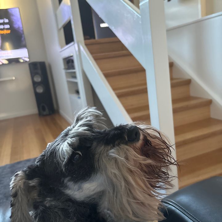 Profile Picture of Eva Divito (@user3551437990828) on Tiktok