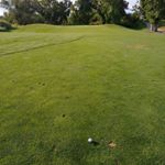 Profile Picture of Tony Alonso (@tony_golfs) on Instagram