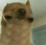 Dylan Dalrymple - Facebook Profile Picture of Dylan Dalrymple (@dylan.lansggna) on Facebook