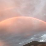 Profile Picture of Wendy Amidon (Warren) (@wadella75) on Instagram