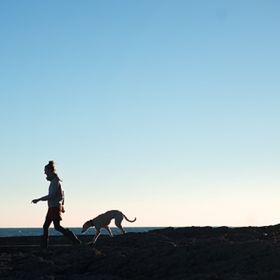 Profile Picture of Rachel Lambert's Wild Food Foraging (@WildFoodForaging) on Pinterest