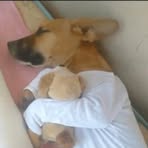 Profile Picture of Cristopher Julian (@Cristopher-Julian) on Facebook