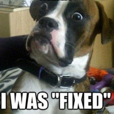 Profile Picture of Christopher Kamm (@Ironball_Chris) on Twitter