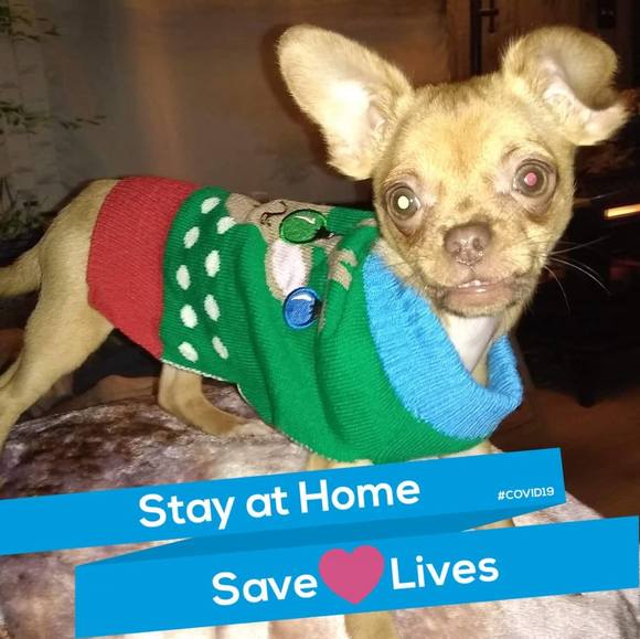 Profile Picture of Patricia Beheeler (@pbeheeler) on Poshmark